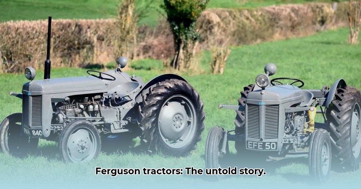 ferguson-to-tractor